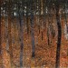 gustav-klimt-forest-of-birch-trees